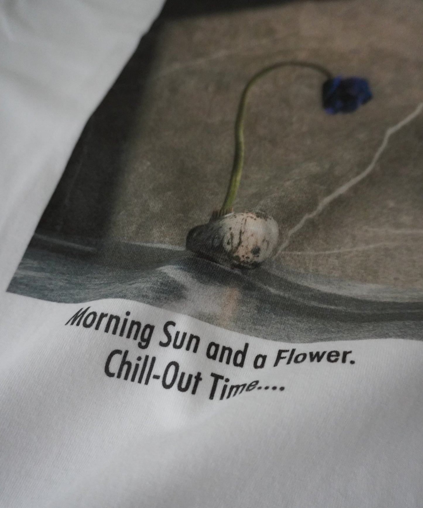 Morning sun & A FLOWER TEE